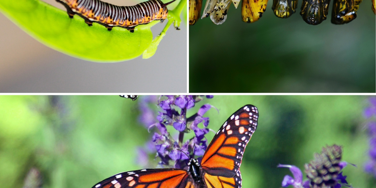 Transformatie Liefdevolle woorden van Madelyn